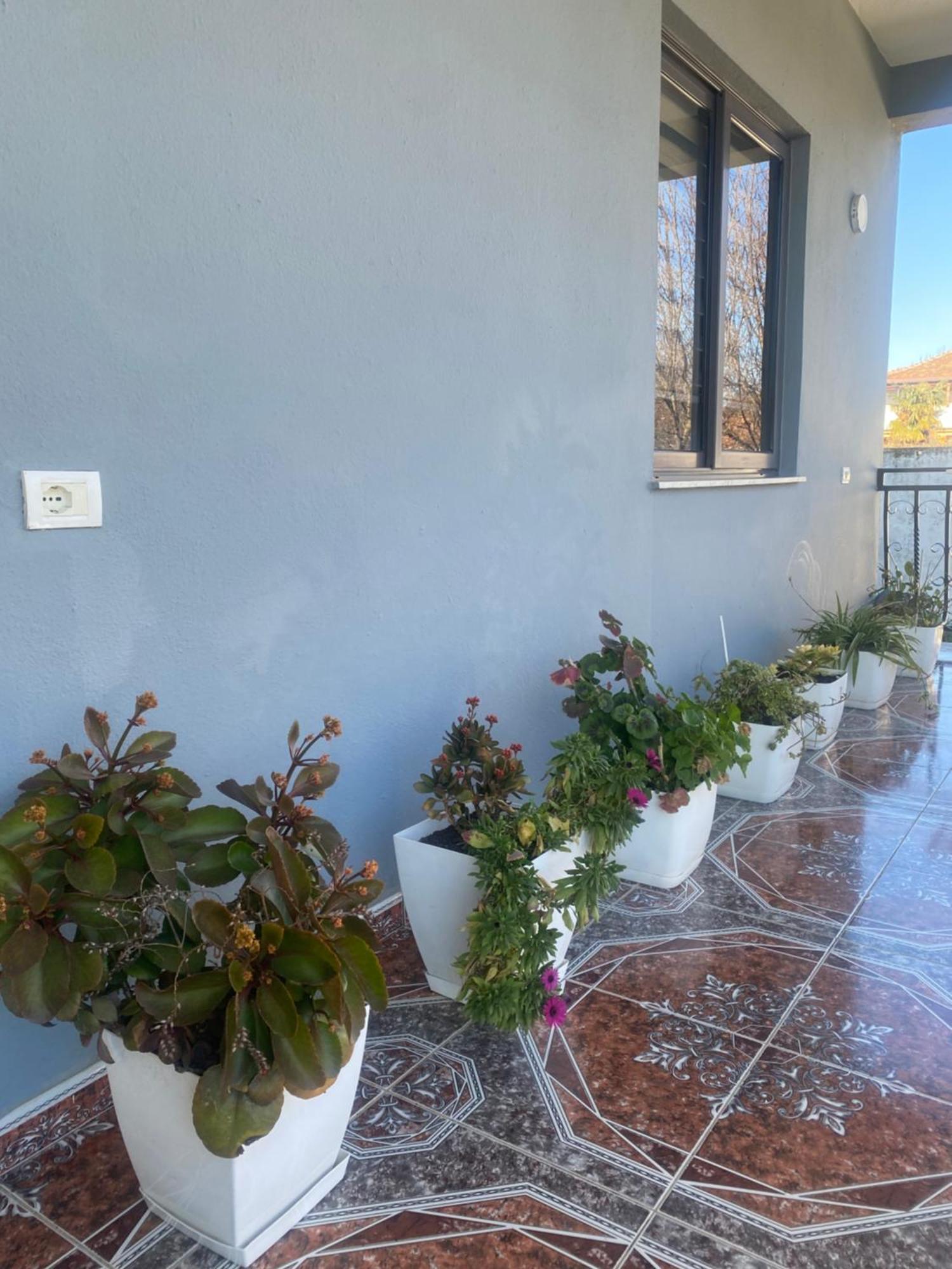 Bahçallëk The Hideaway Guesthouse מראה חיצוני תמונה