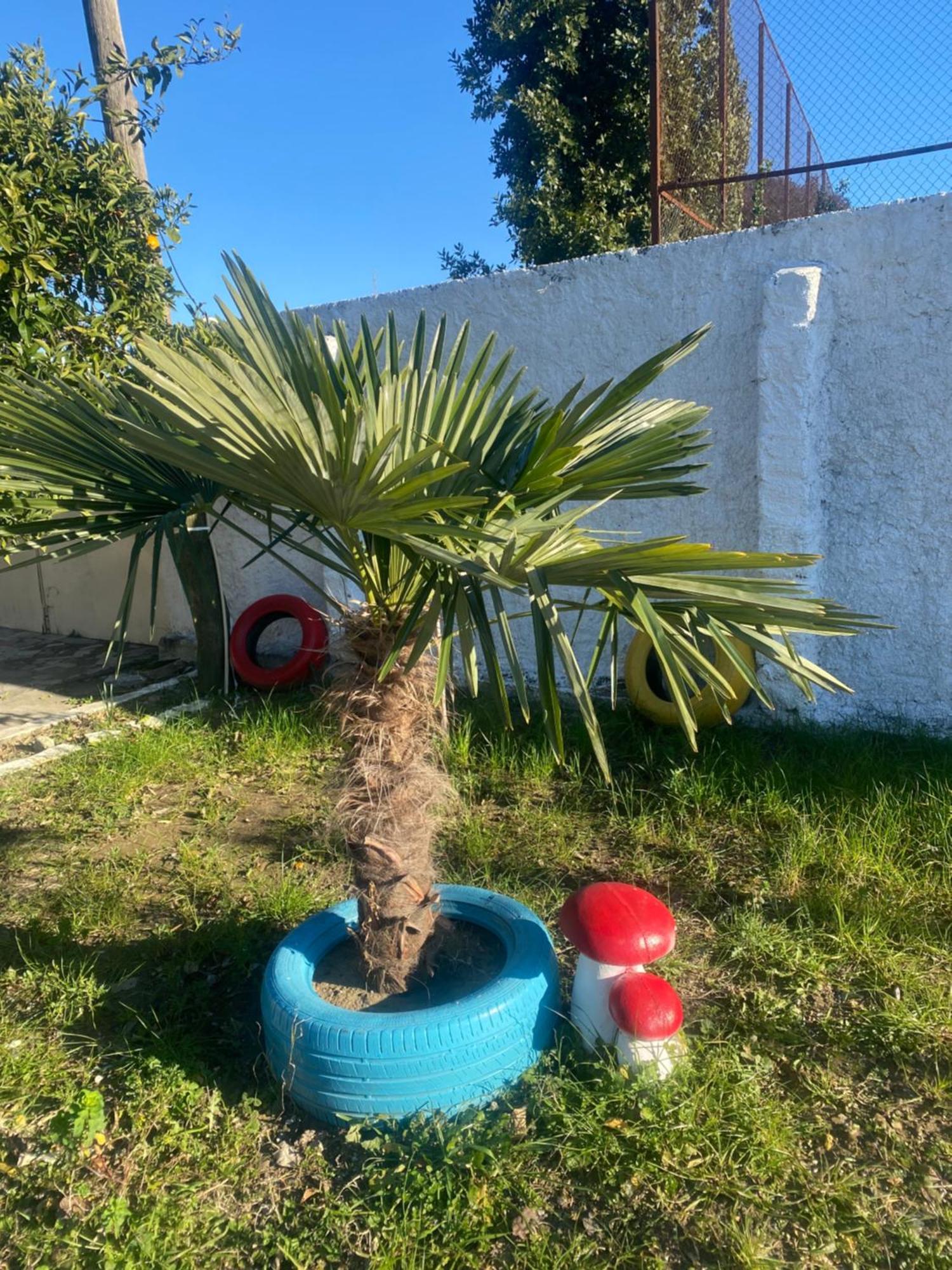 Bahçallëk The Hideaway Guesthouse מראה חיצוני תמונה